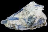 Vibrant Blue Kyanite Crystals In Quartz - Brazil #80389-1
